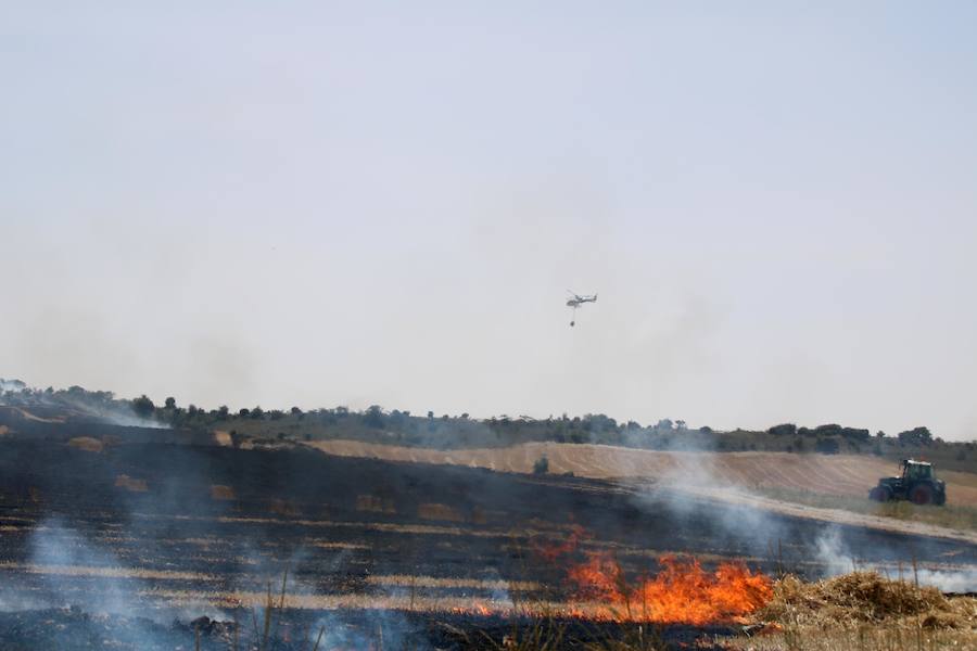 Fotos: Un incendio quema varias hectáreas de cereal y monte en Vertavillo