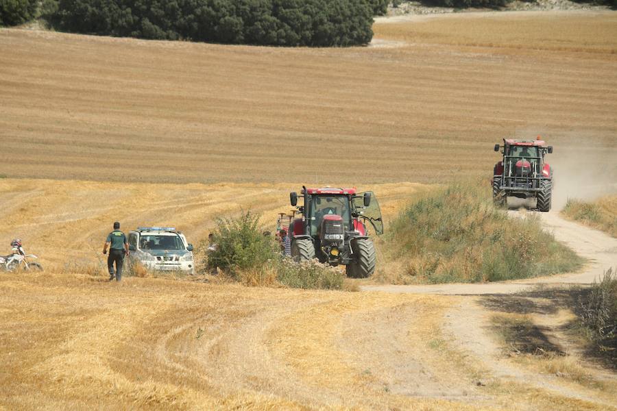 Fotos: Un incendio quema varias hectáreas de cereal y monte en Vertavillo