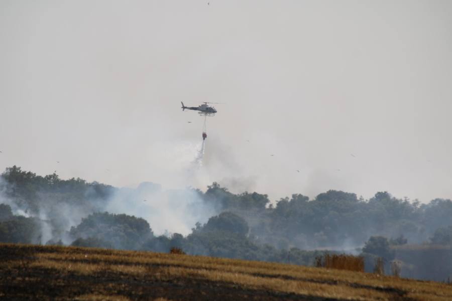 Fotos: Un incendio quema varias hectáreas de cereal y monte en Vertavillo