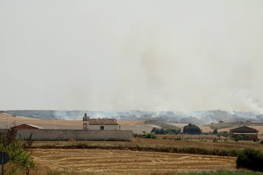 Fotos: Un incendio quema varias hectáreas de cereal y monte en Vertavillo
