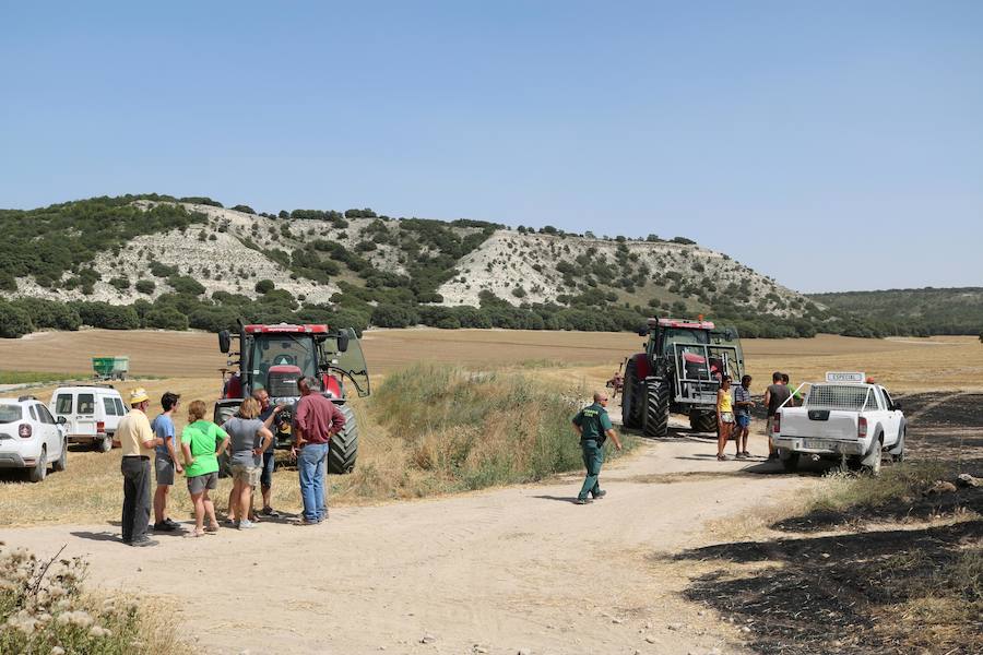 Fotos: Un incendio quema varias hectáreas de cereal y monte en Vertavillo