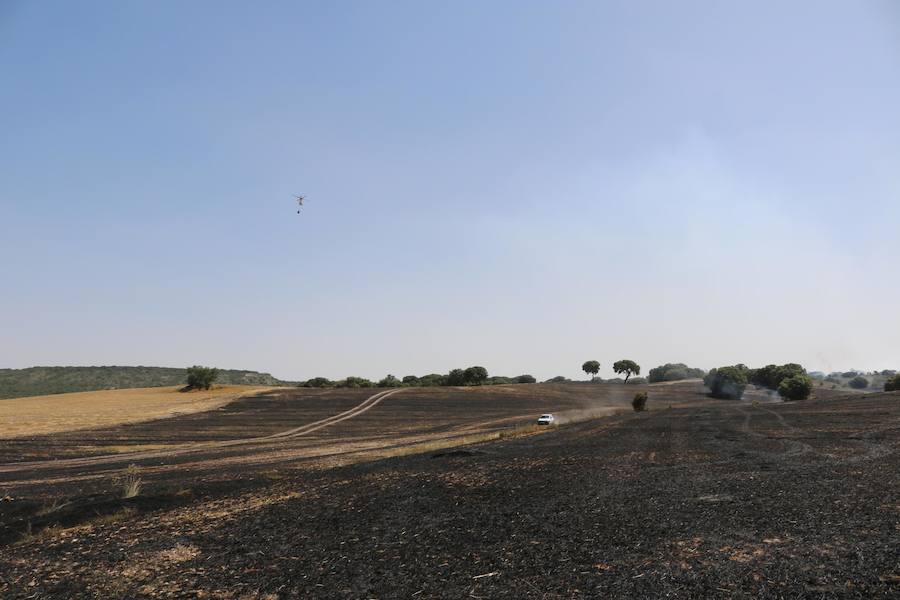Fotos: Un incendio quema varias hectáreas de cereal y monte en Vertavillo