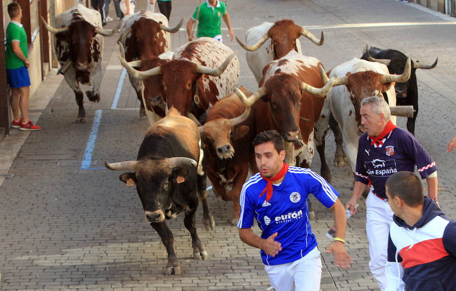 Corredores durante los encierros de Cuéllar del pasado año.