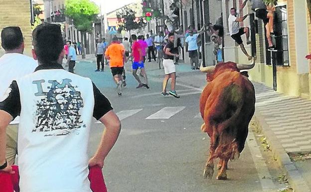 El utrero recorre las calles de La Seca.