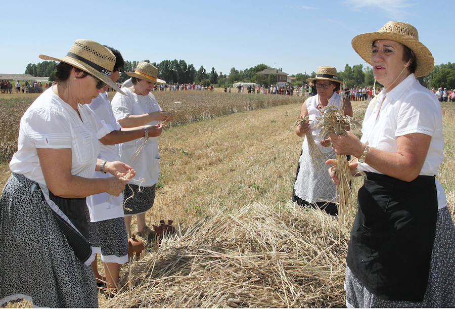 Fotos: Fiesta de la Trilla en Castrillo de Villavega