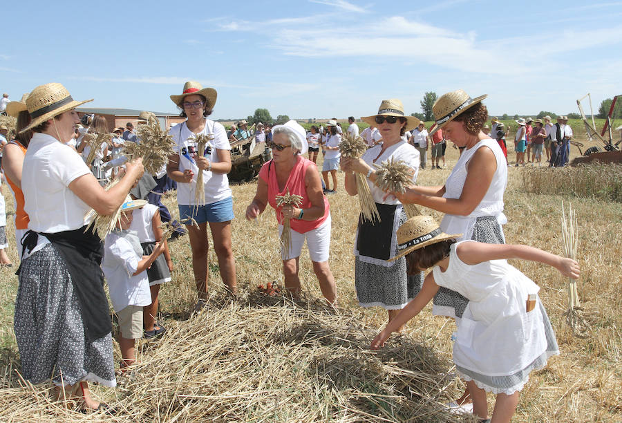 Fotos: Fiesta de la Trilla en Castrillo de Villavega
