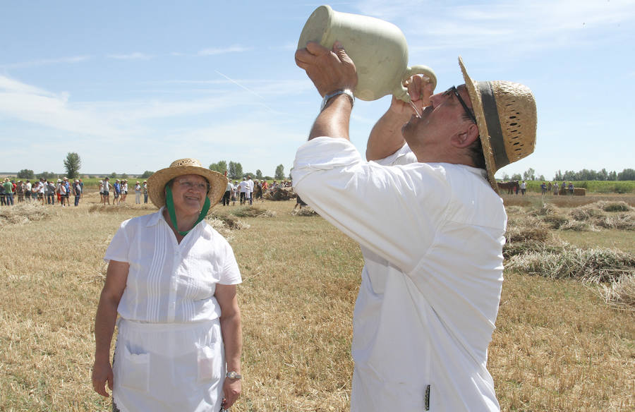 Fotos: Fiesta de la Trilla en Castrillo de Villavega