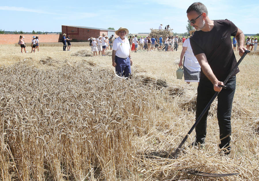 Fotos: Fiesta de la Trilla en Castrillo de Villavega
