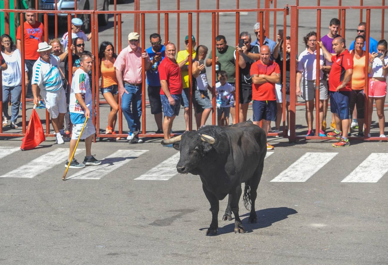 Fotos: Encierro en Rueda