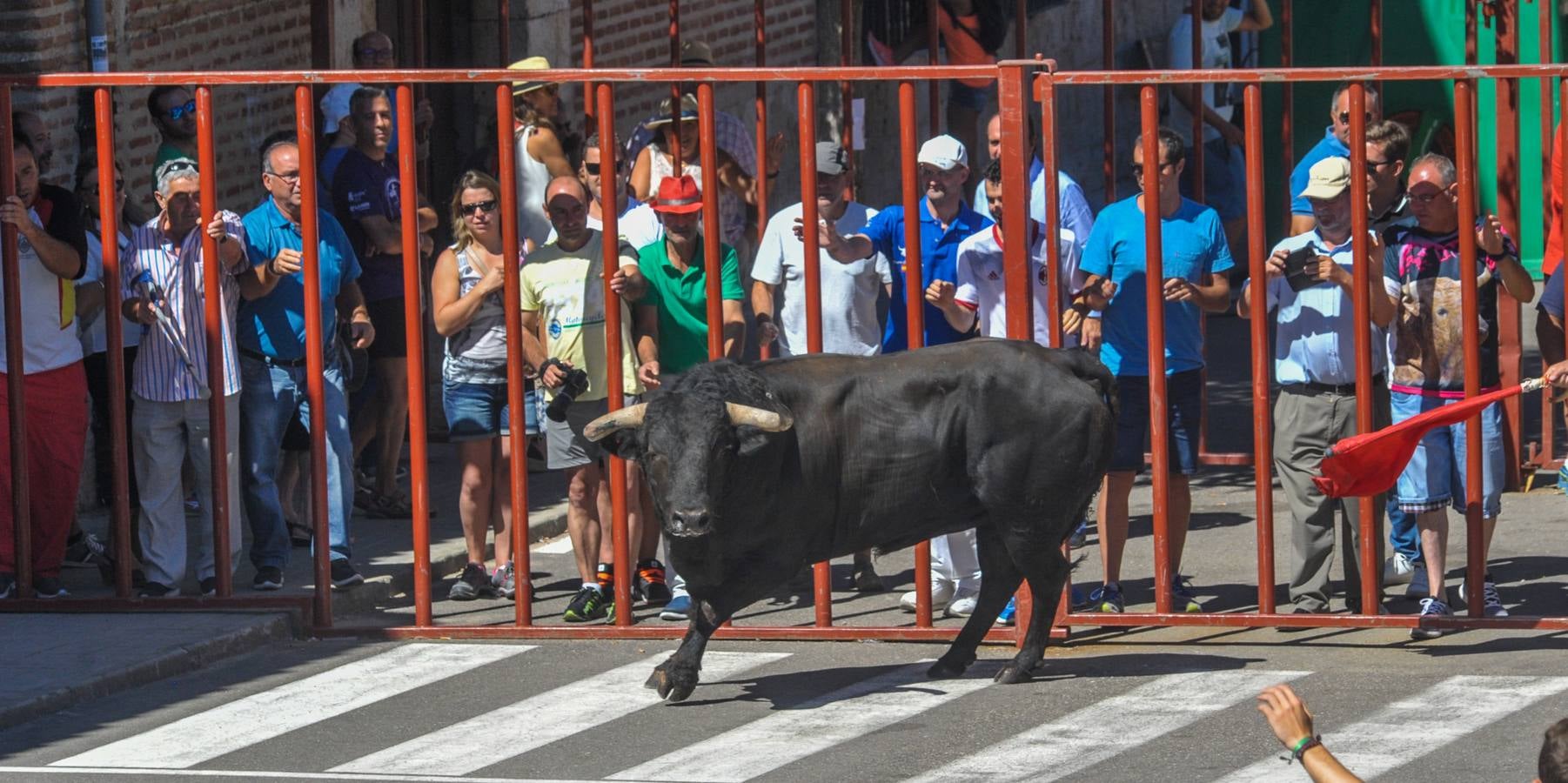 Fotos: Encierro en Rueda