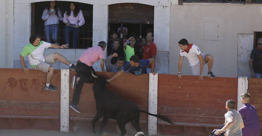 Fotos: Primer encierro en Peñafiel