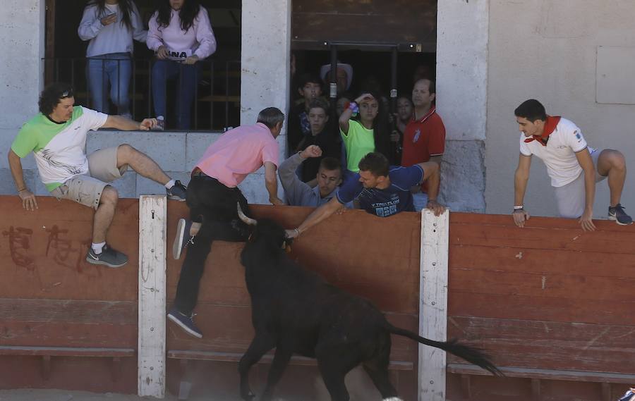 Fotos: Primer encierro en Peñafiel