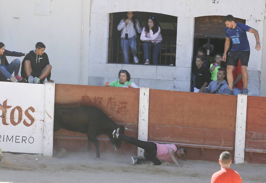 Fotos: Primer encierro en Peñafiel