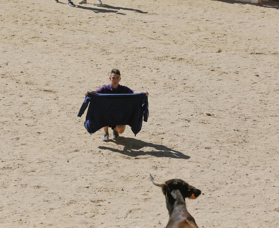 Fotos: Primer encierro en Peñafiel