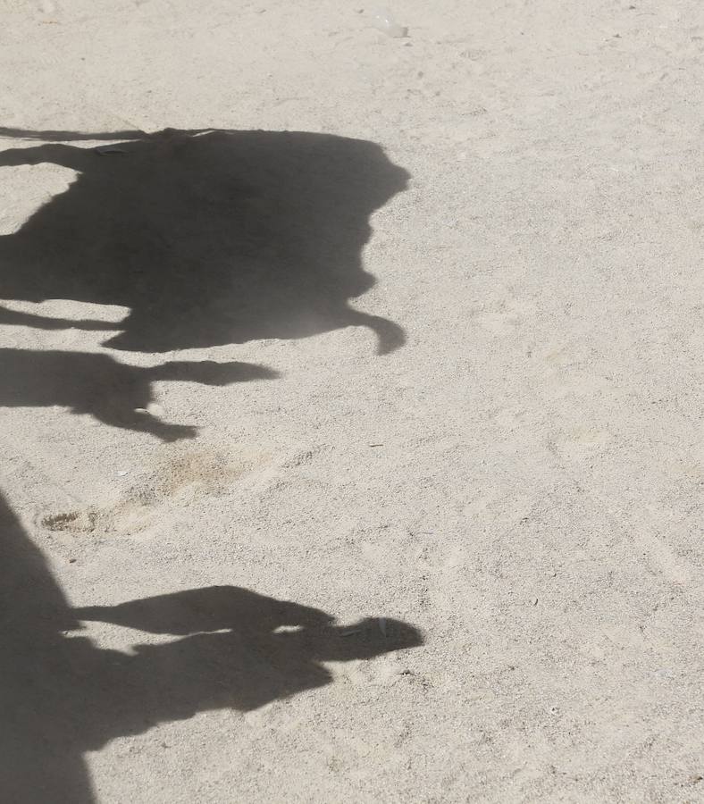 Fotos: Primer encierro en Peñafiel