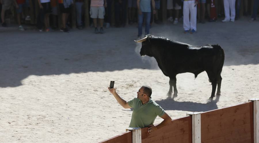 Fotos: Primer encierro en Peñafiel