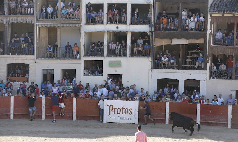 Fotos: Primer encierro en Peñafiel