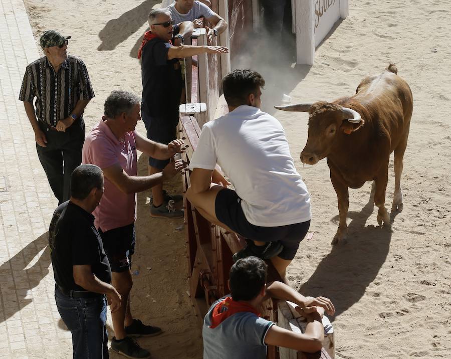 Fotos: Primer encierro en Peñafiel