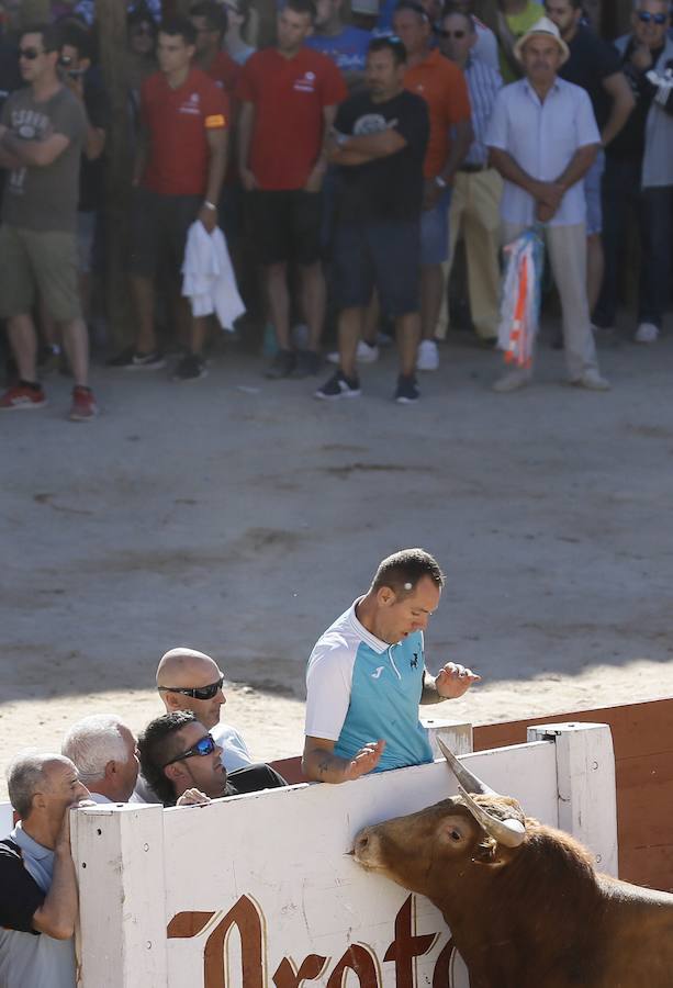 Fotos: Primer encierro en Peñafiel