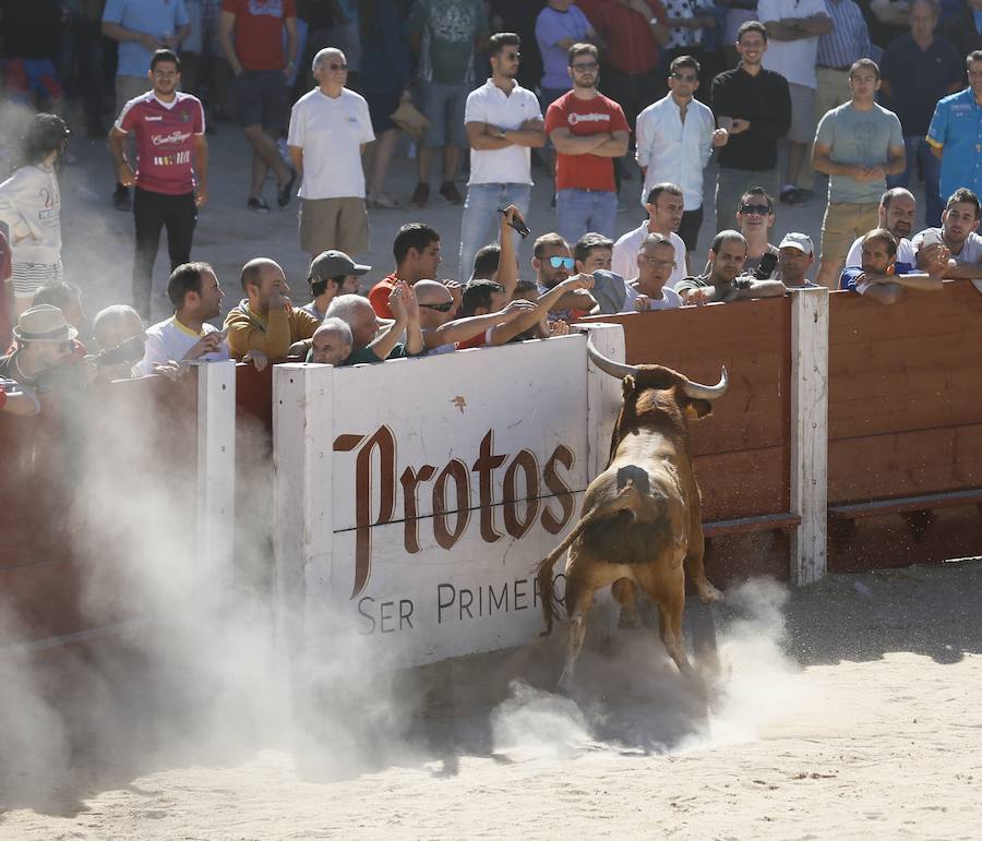 Fotos: Primer encierro en Peñafiel