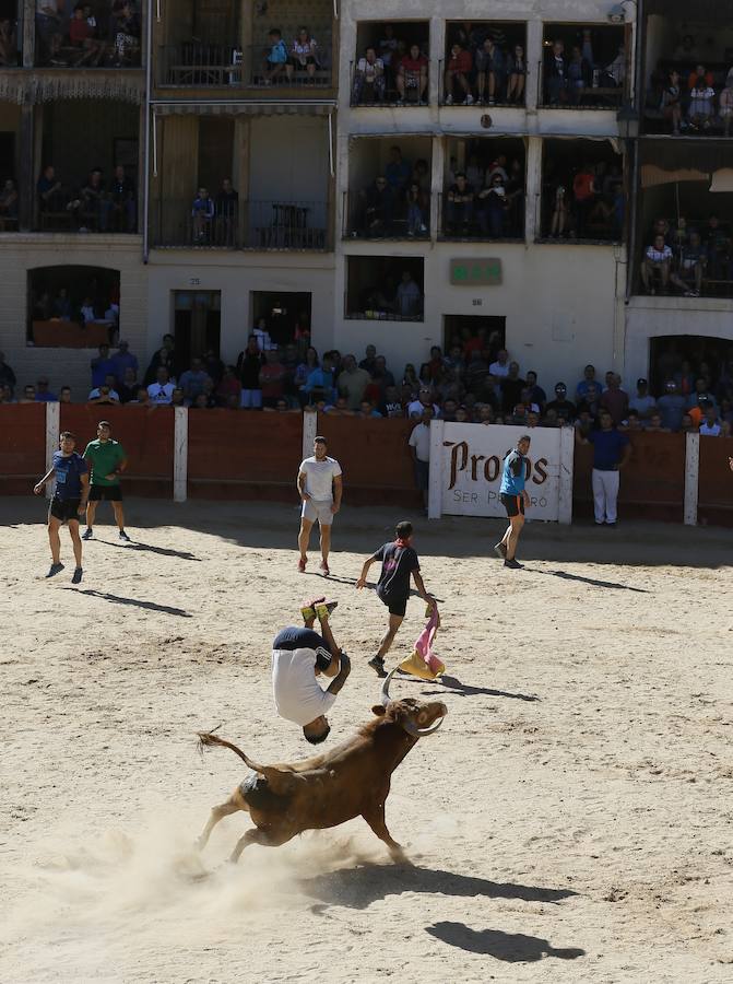Fotos: Primer encierro en Peñafiel