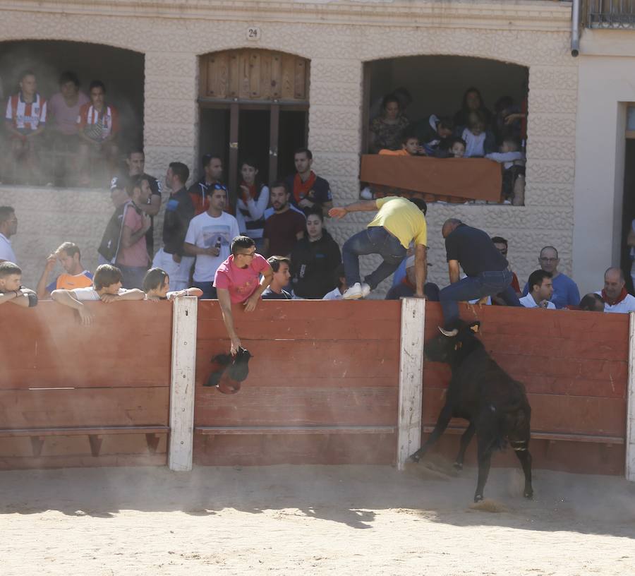 Fotos: Primer encierro en Peñafiel