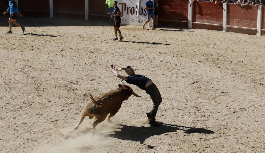 Fotos: Primer encierro en Peñafiel