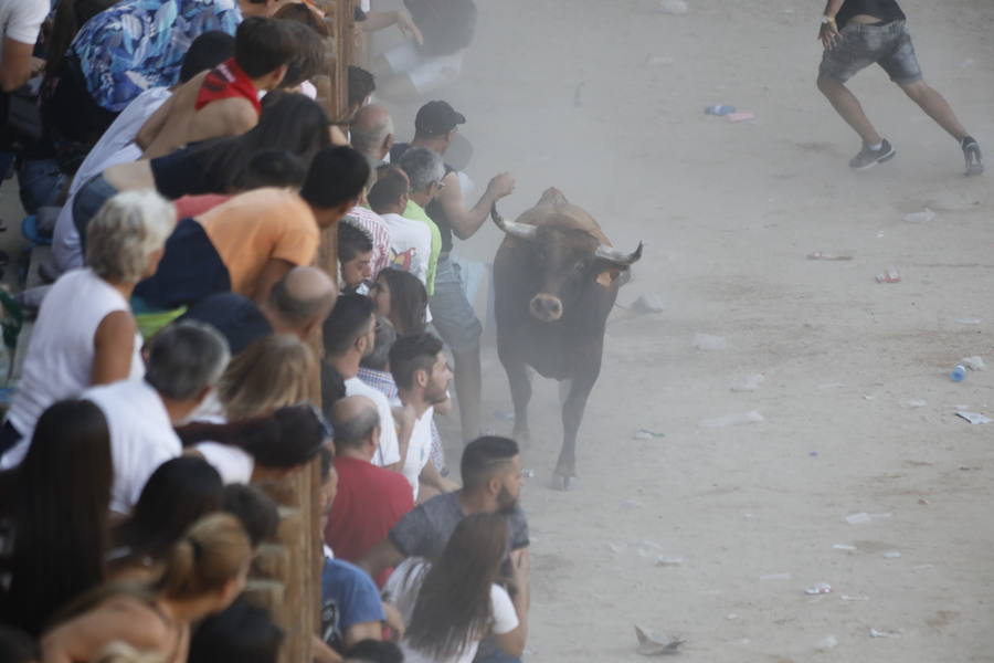 El primer novillo de la suelta ha saltado desde el redondel al exterior y ha sembrado el caos entre los congregados para ver el espectáculo taurino. Finalmente no se han registrado heridos