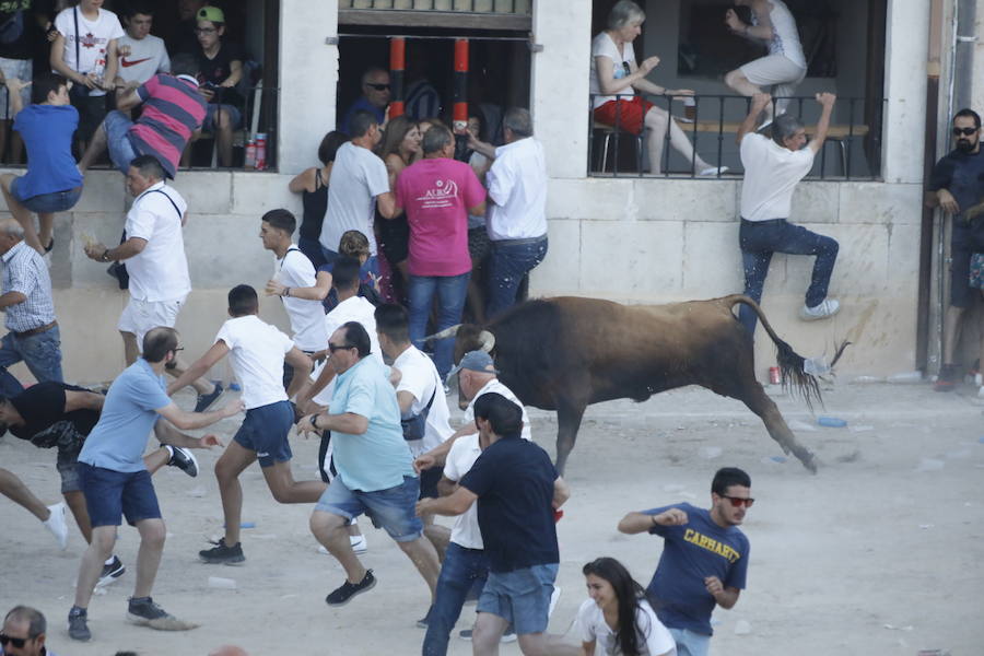 El primer novillo de la suelta ha saltado desde el redondel al exterior y ha sembrado el caos entre los congregados para ver el espectáculo taurino. Finalmente no se han registrado heridos