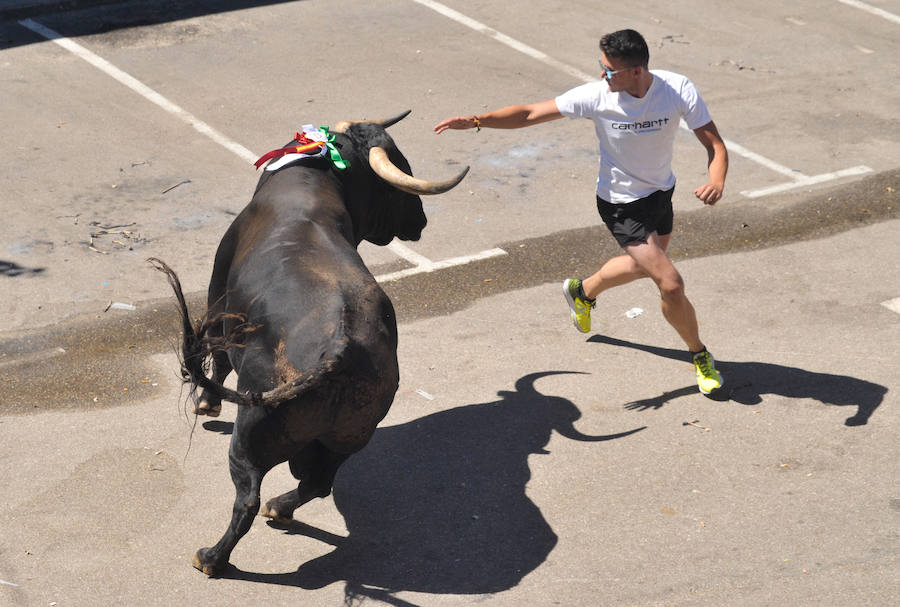 La localidad celebra sus fiestas y hoy, 15 de agosto difruta de tres encierros por las calles del municipio.