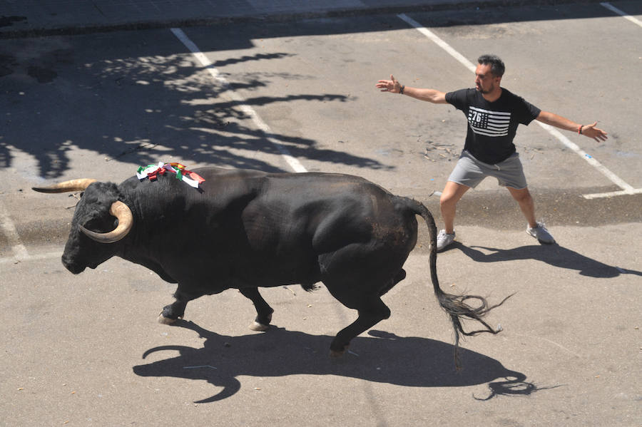 La localidad celebra sus fiestas y hoy, 15 de agosto difruta de tres encierros por las calles del municipio.