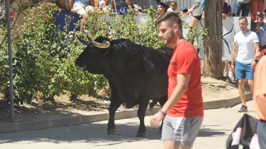 La localidad celebra sus fiestas y hoy, 15 de agosto difruta de tres encierros por las calles del municipio.