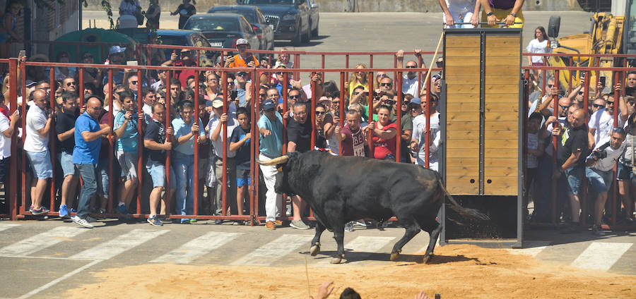 La localidad celebra sus fiestas y hoy, 15 de agosto difruta de tres encierros por las calles del municipio.