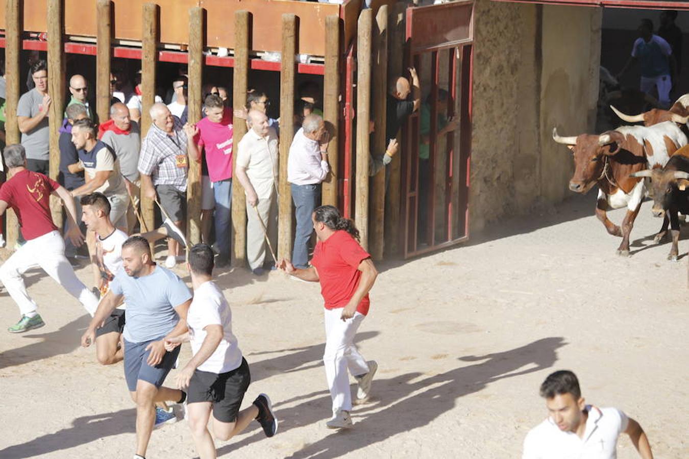 Fotos: Primer encierro en Peñafiel