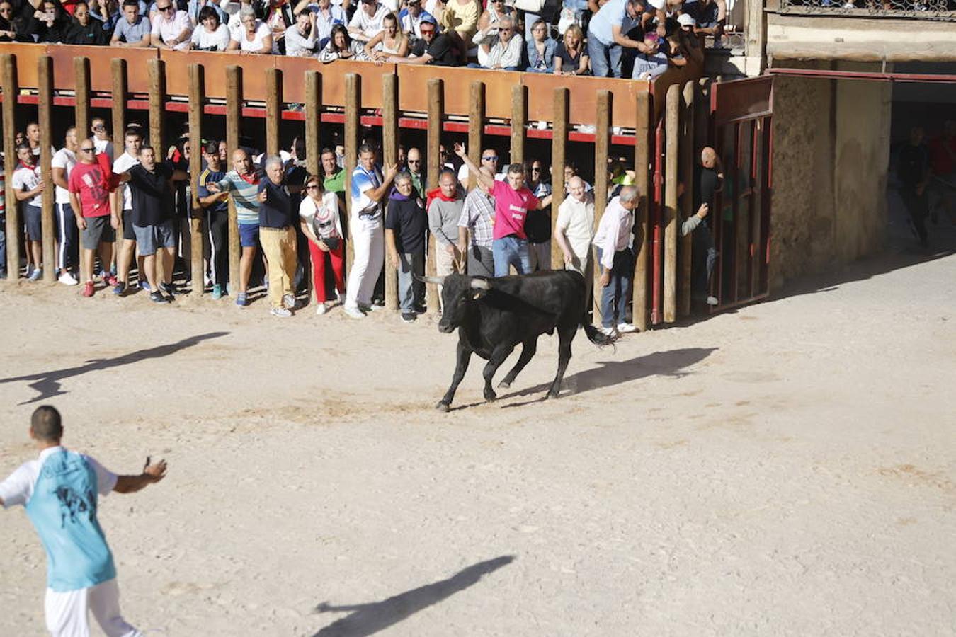 Fotos: Primer encierro en Peñafiel