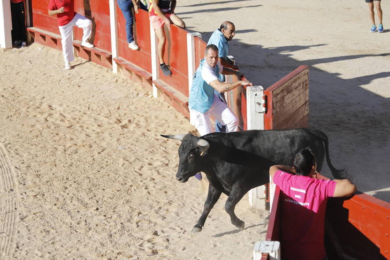 Fotos: Primer encierro en Peñafiel