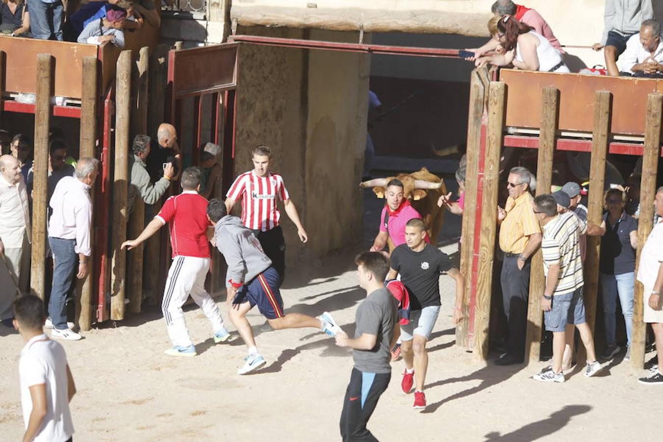 Fotos: Primer encierro en Peñafiel