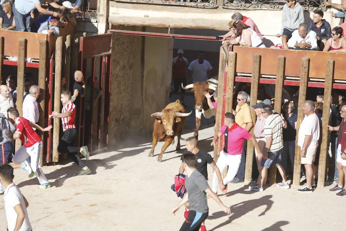 Fotos: Primer encierro en Peñafiel