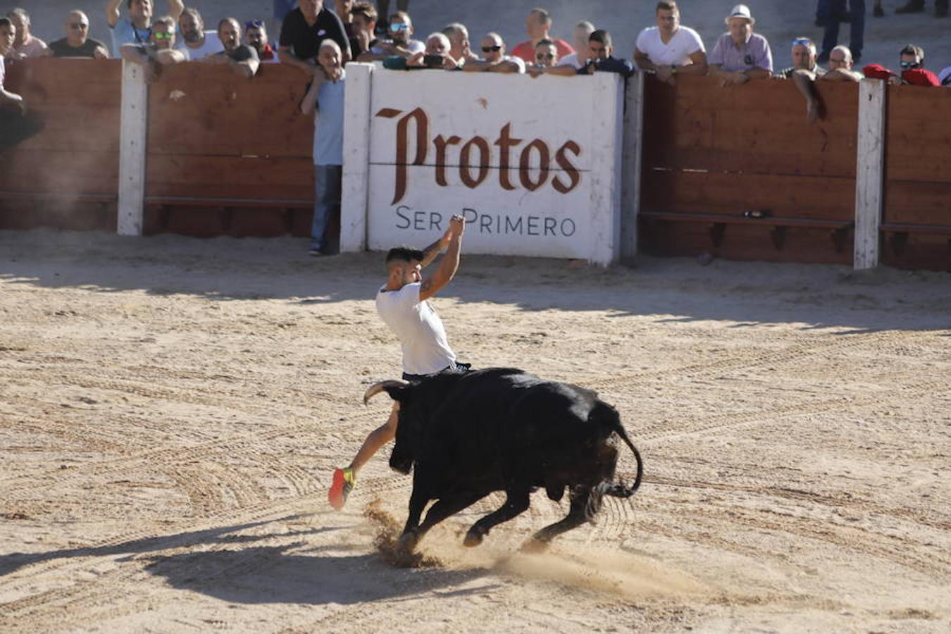 Fotos: Capea en la Plaza del Coso de Peñafiel