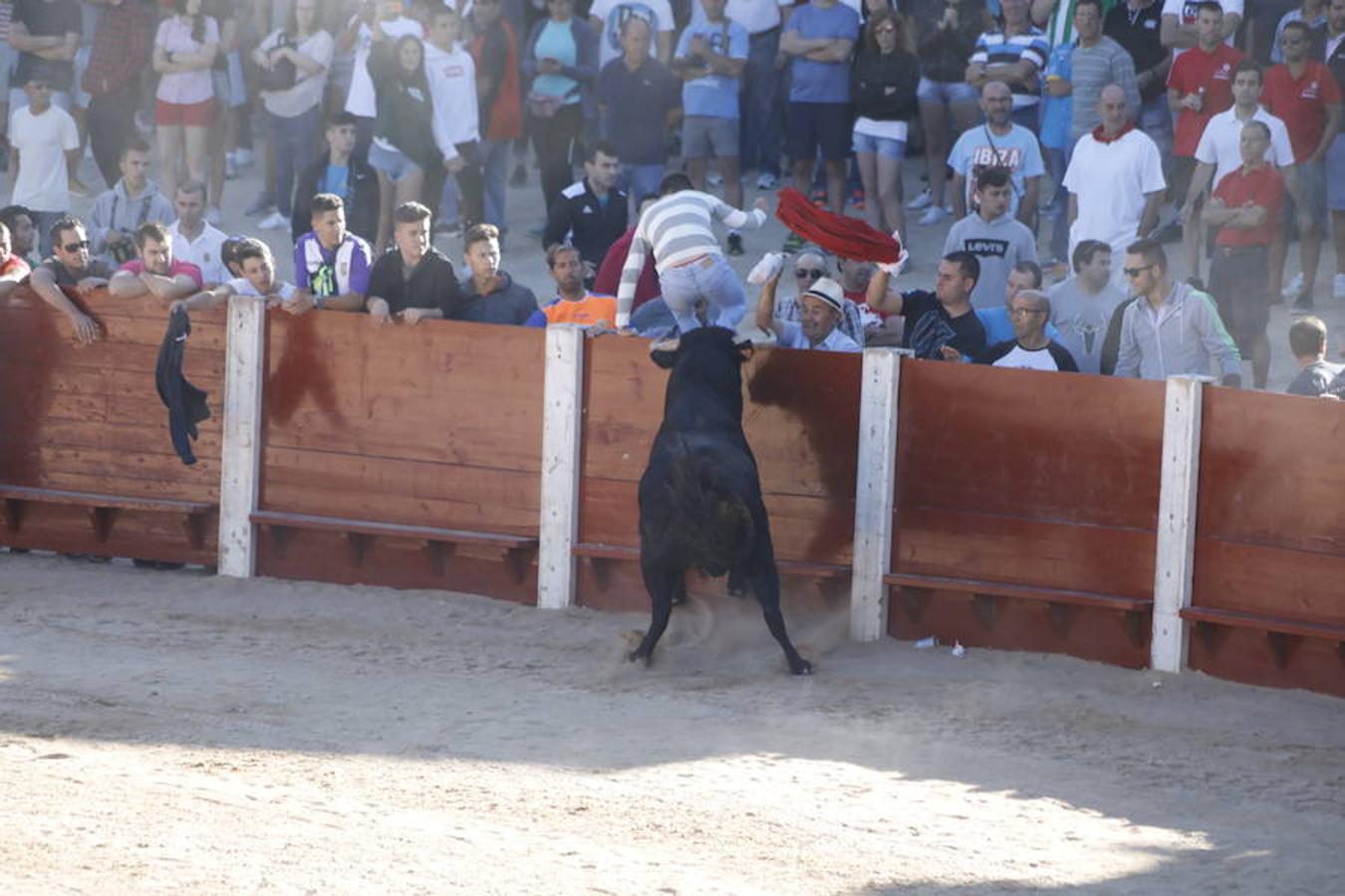 Fotos: Capea en la Plaza del Coso de Peñafiel