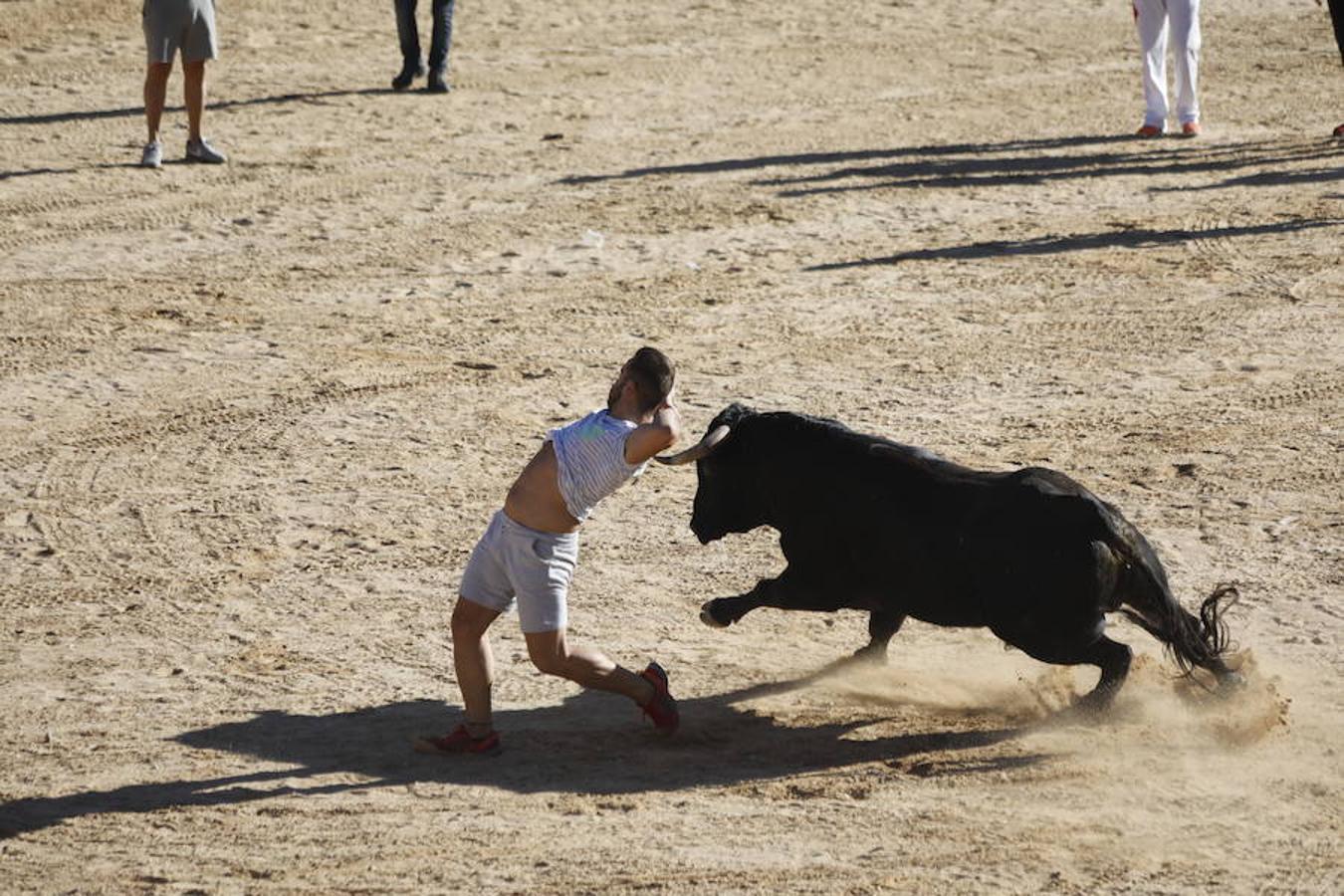 Fotos: Capea en la Plaza del Coso de Peñafiel