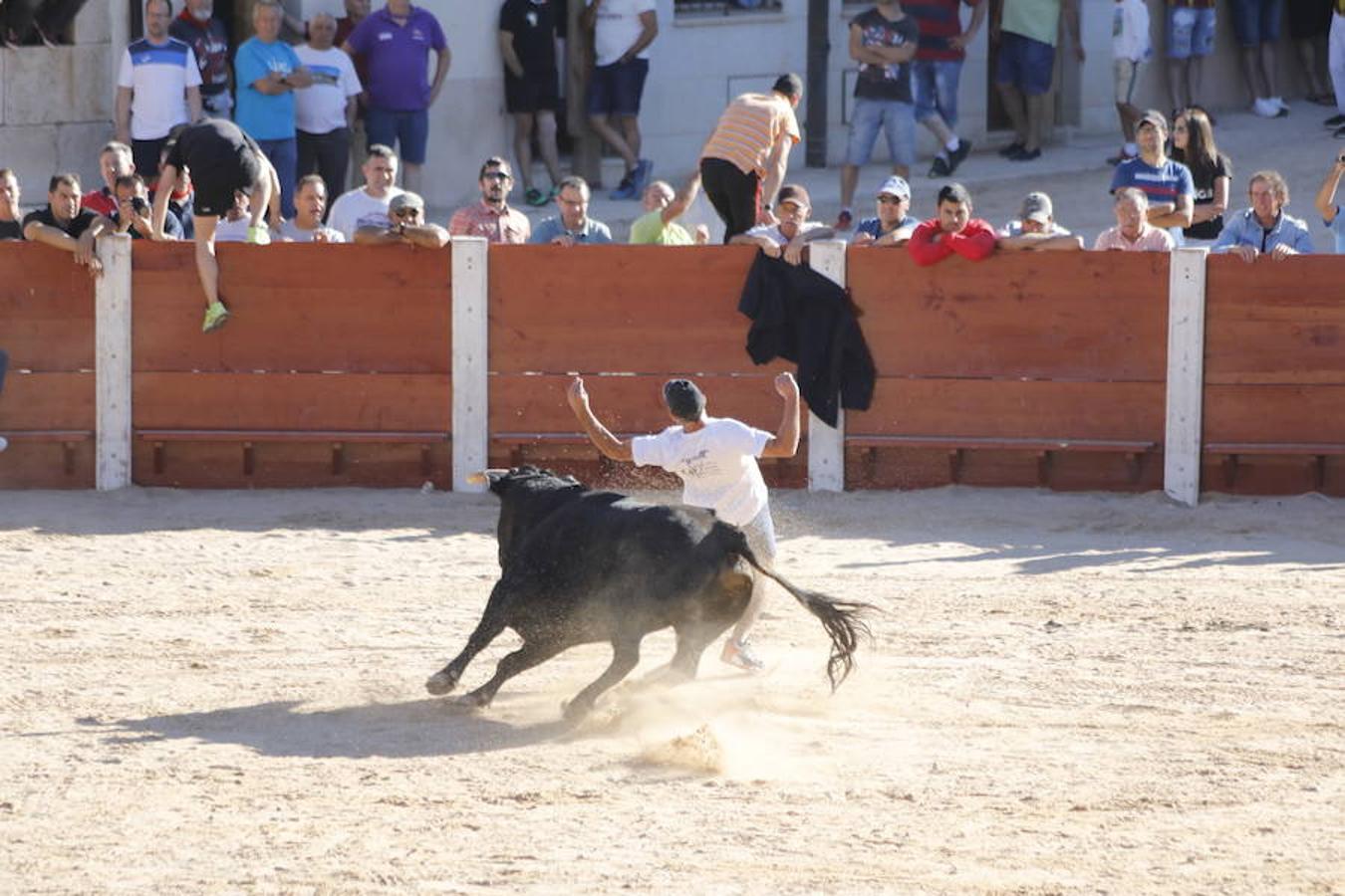 Fotos: Capea en la Plaza del Coso de Peñafiel