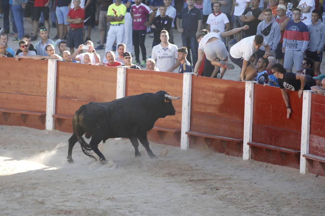 Fotos: Capea en la Plaza del Coso de Peñafiel