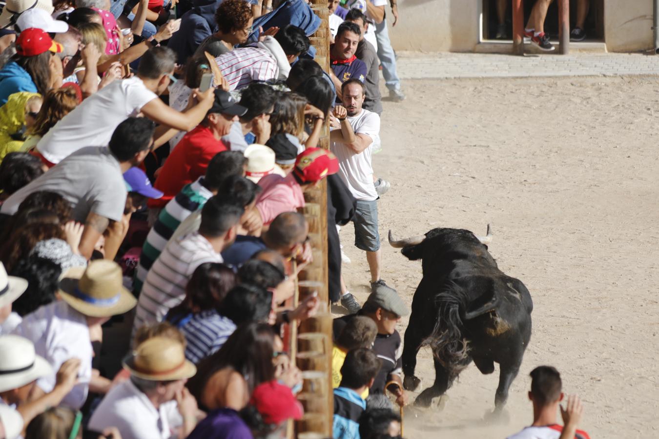 Fotos: Capea en la Plaza del Coso de Peñafiel