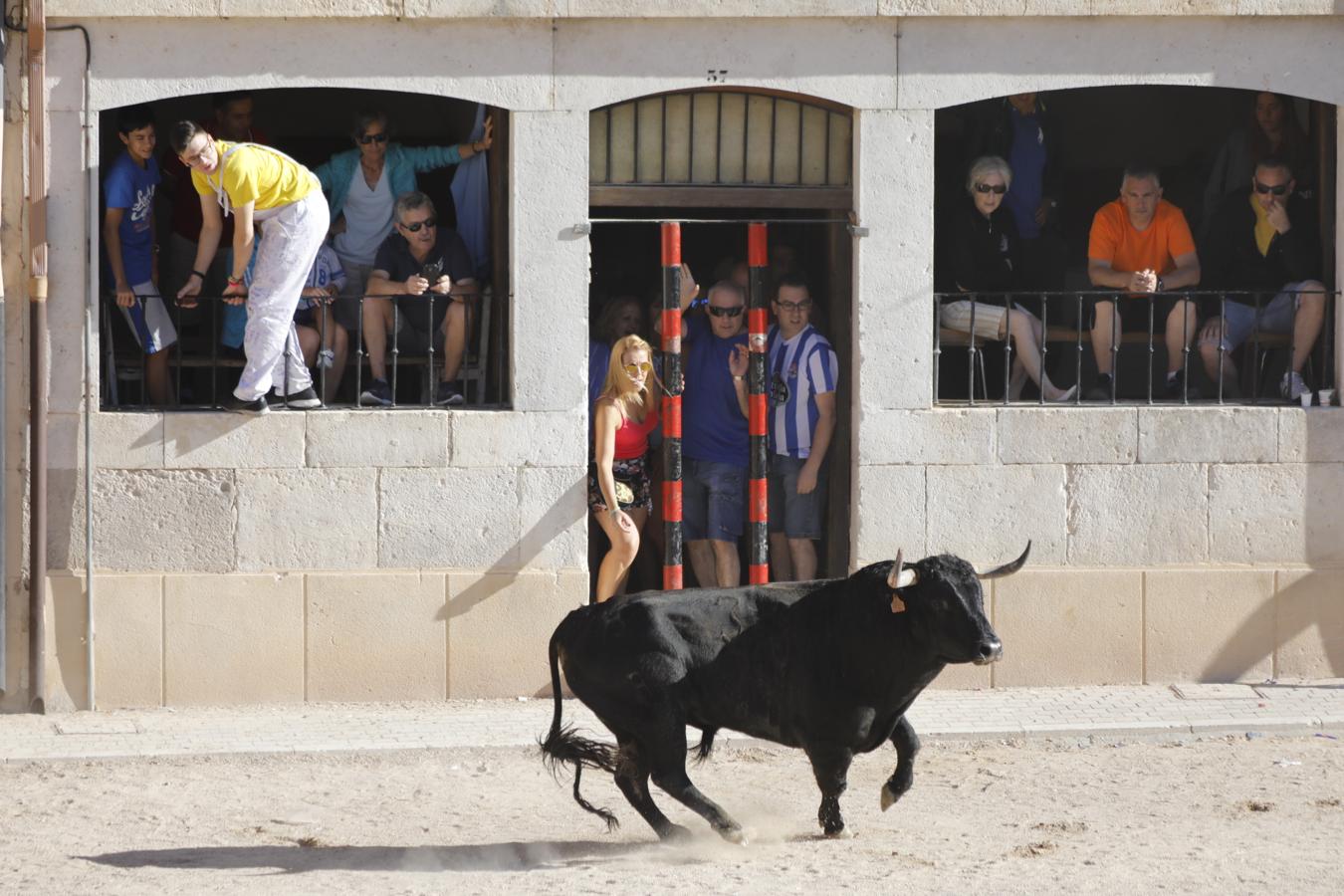 Fotos: Capea en la Plaza del Coso de Peñafiel