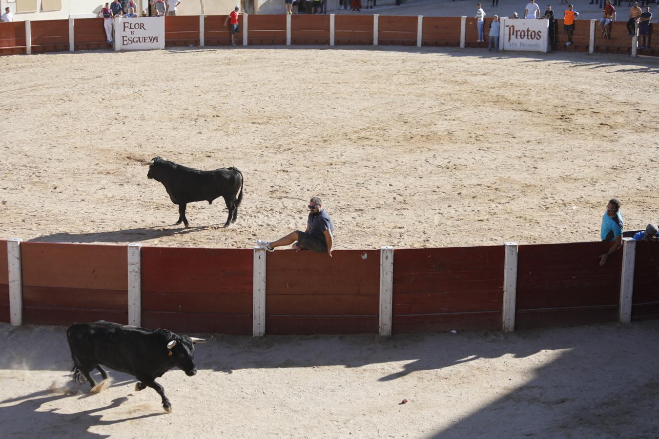 Fotos: Capea en la Plaza del Coso de Peñafiel