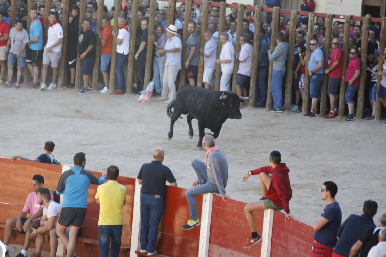 Fotos: Capea en la Plaza del Coso de Peñafiel