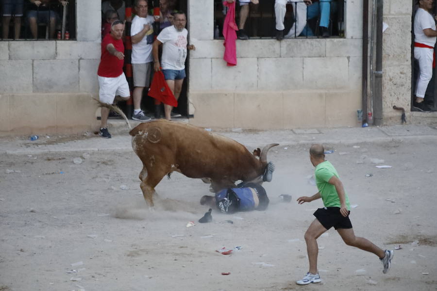 Uno de los mozos ha sufrido un varetazo por parte de uno de los novillos que han participado en la suelta de esta tarde en la localidad vallisoletana. Hoy Peñafiel celebra su patrón, San Roque