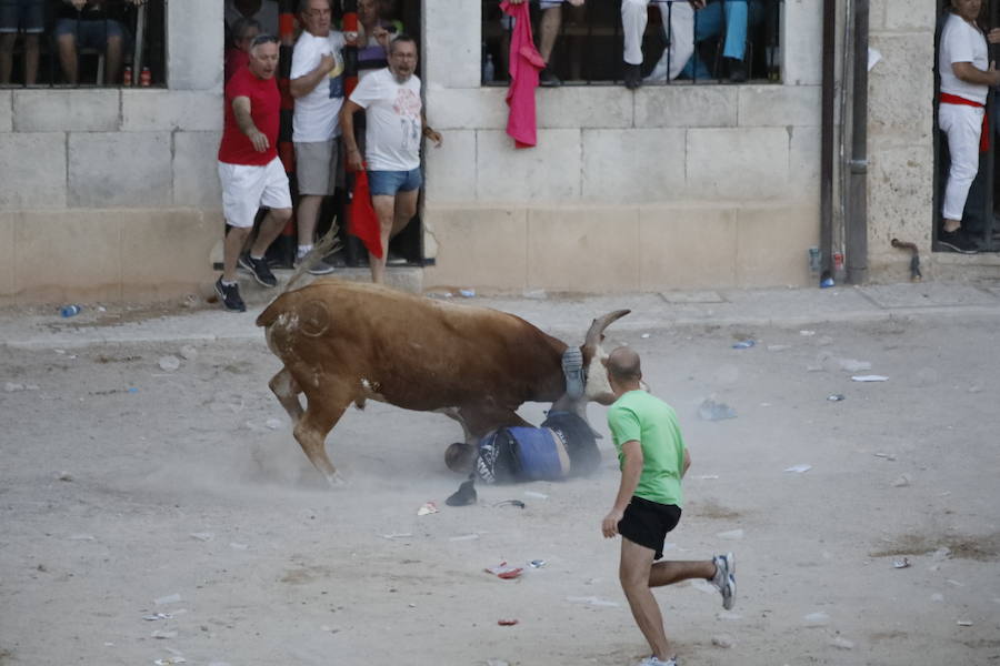 Uno de los mozos ha sufrido un varetazo por parte de uno de los novillos que han participado en la suelta de esta tarde en la localidad vallisoletana. Hoy Peñafiel celebra su patrón, San Roque