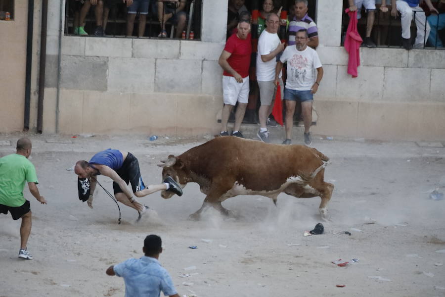 Uno de los mozos ha sufrido un varetazo por parte de uno de los novillos que han participado en la suelta de esta tarde en la localidad vallisoletana. Hoy Peñafiel celebra su patrón, San Roque